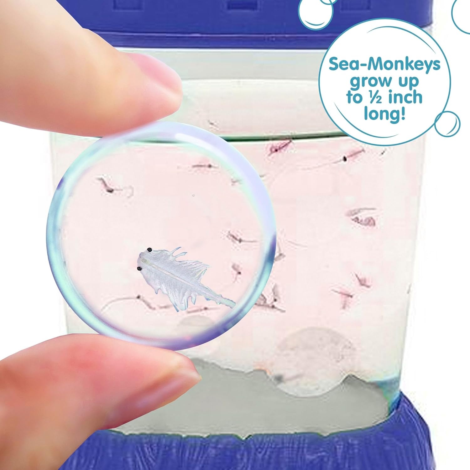 image:imageSeaMonkeys Magiquarium Worlds Easiest NoMess Pet Grow Your Own Pet in a LightUp Aquarium Ages 6 and Up One Kit