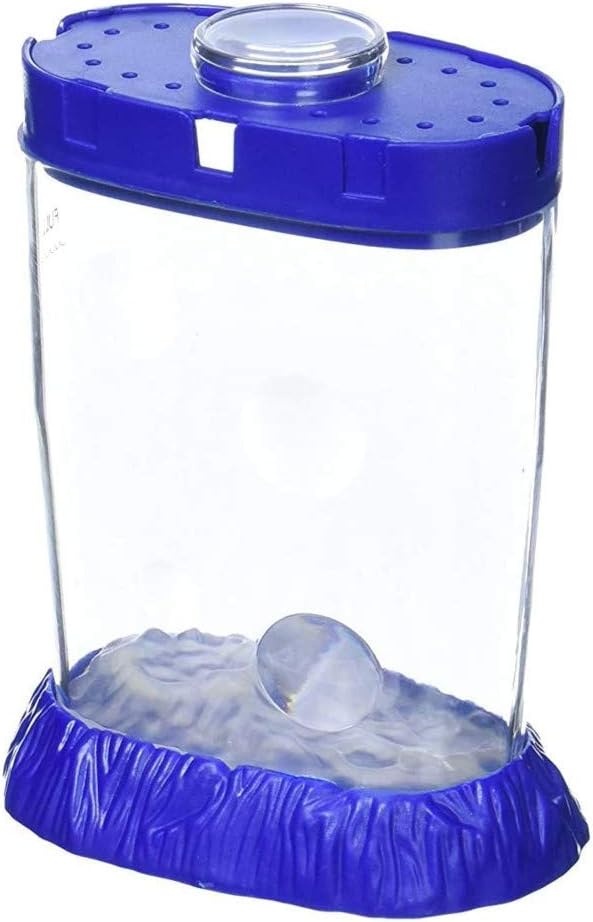 image:imageSeaMonkeys Ocean Zoo Neon Worlds Only Instant Pets Assorted Colors Ages 6 Pack of 1Small Pack of 6