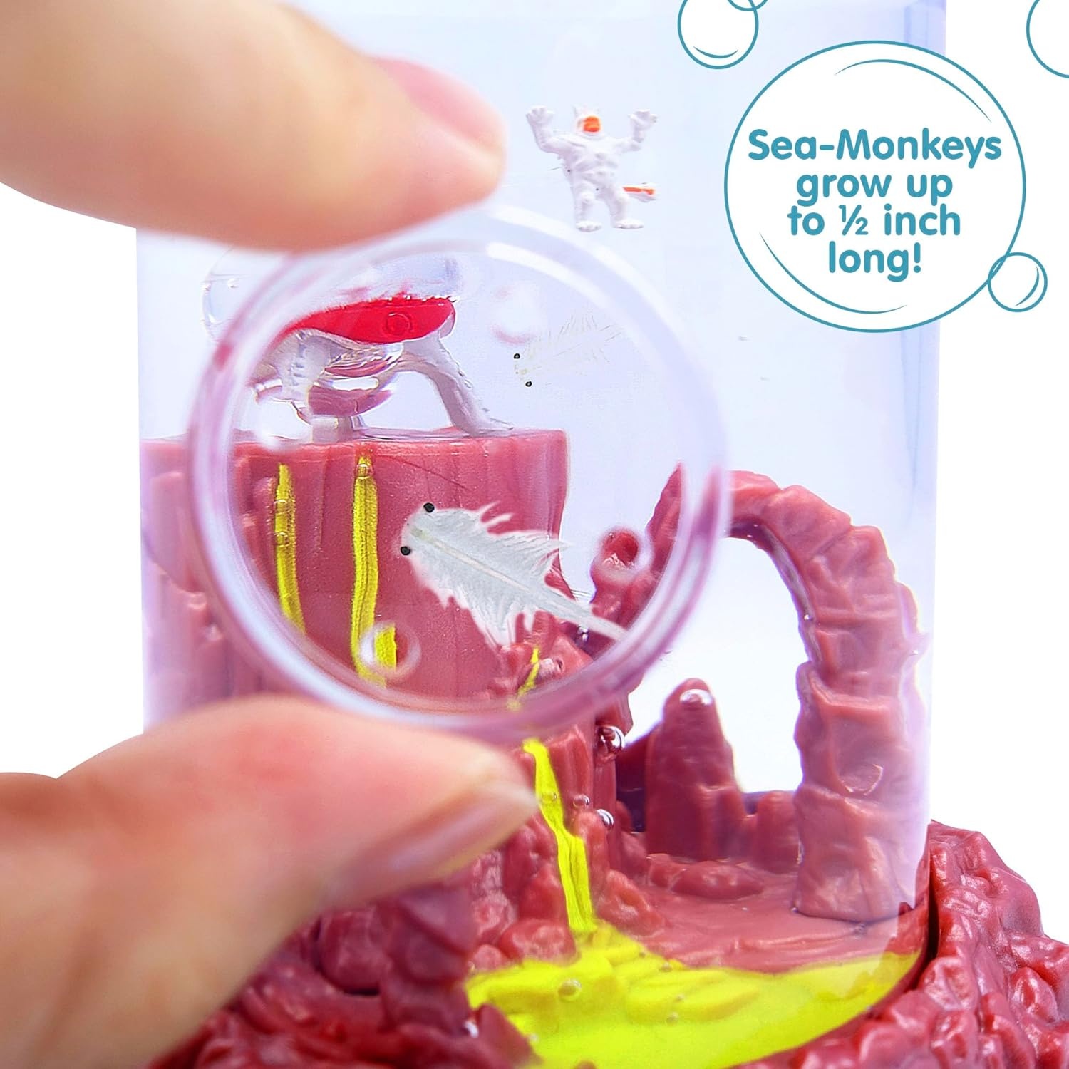 image:imageSeaMonkeys On Mars Worlds Only Instant Pets Ages 6 Pack of 1