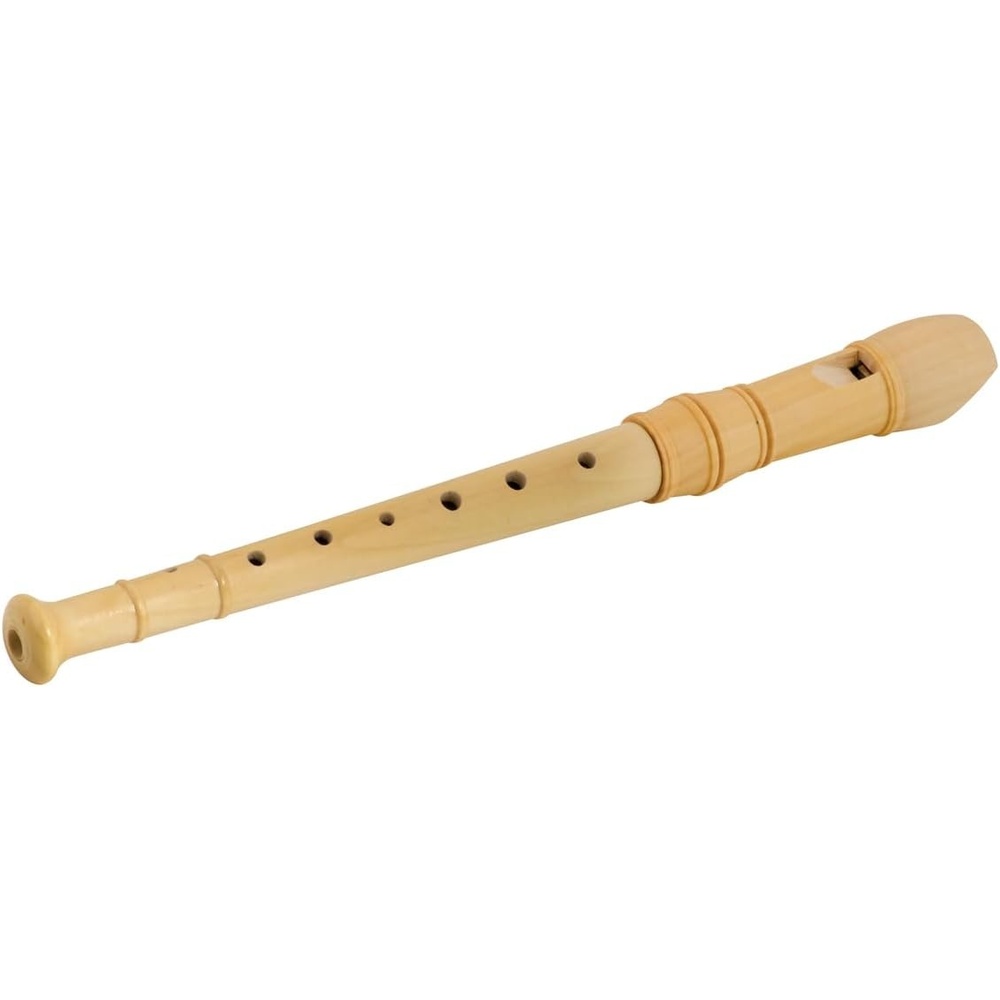 image:imageRecorder childrens musical instrument